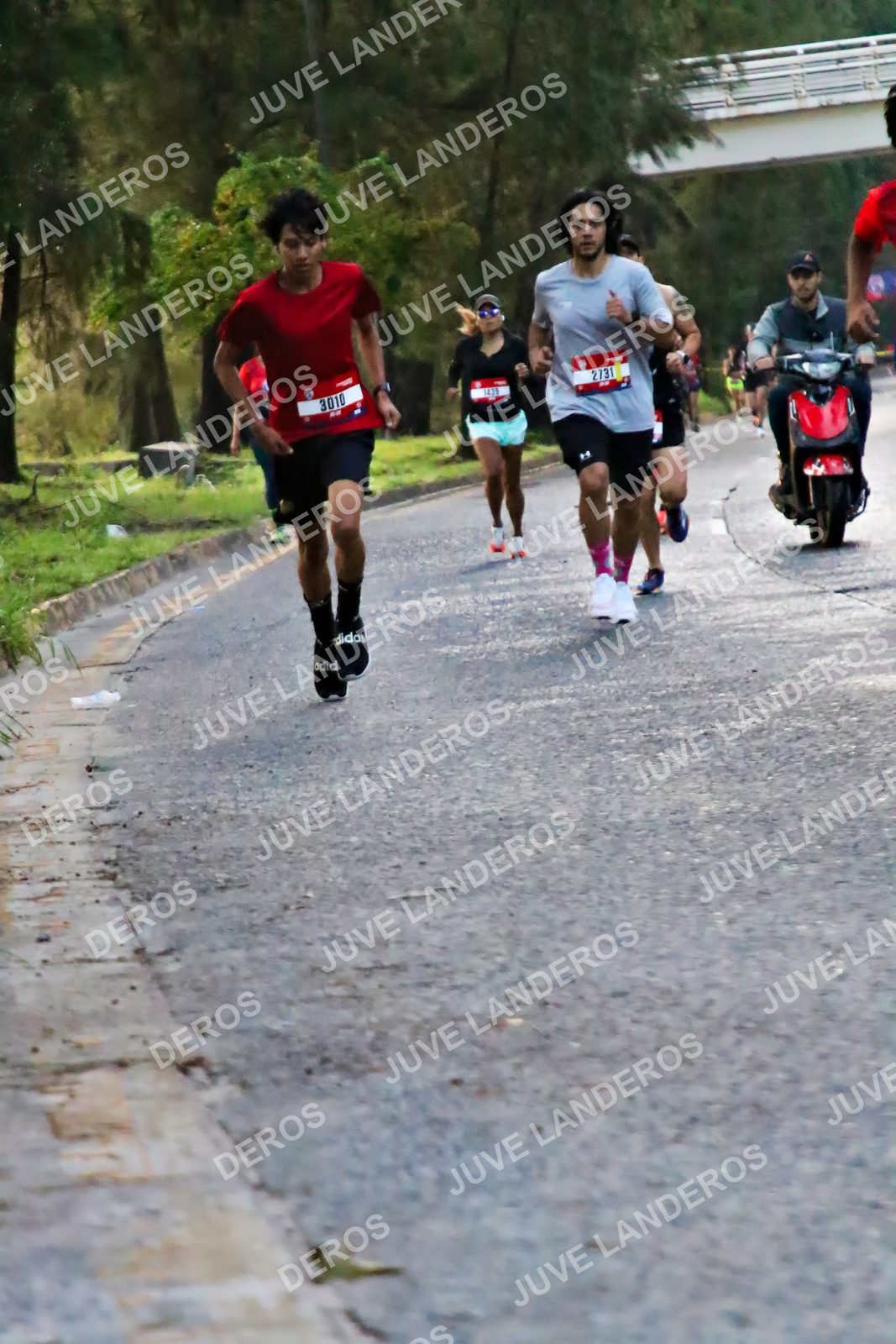 Foto de la CARRERA BIMBO GLOBAL RACE GUADALAJARA en Centro Comercial Andares, Blvd. Puerta de Hierro 4965, Zapopan a las 04:55 · dorsal 3010, 2731