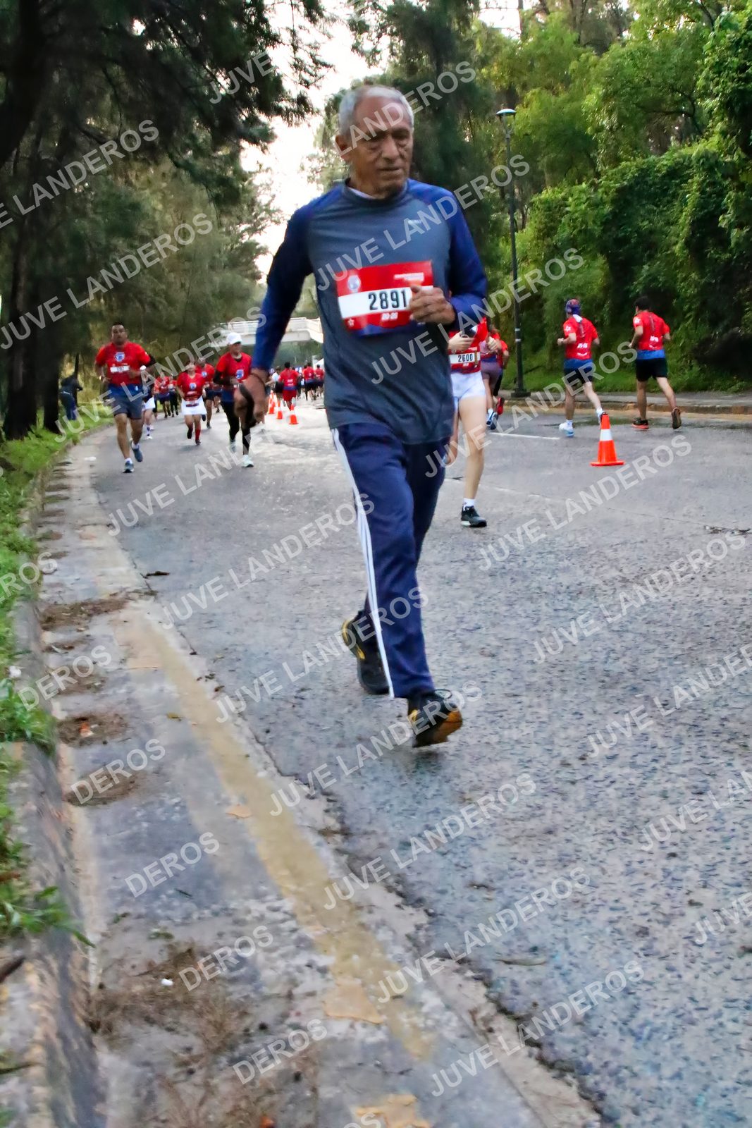 Foto de la CARRERA BIMBO GLOBAL RACE GUADALAJARA en Centro Comercial Andares, Blvd. Puerta de Hierro 4965, Zapopan a las 04:59 · dorsal 2891, 2600