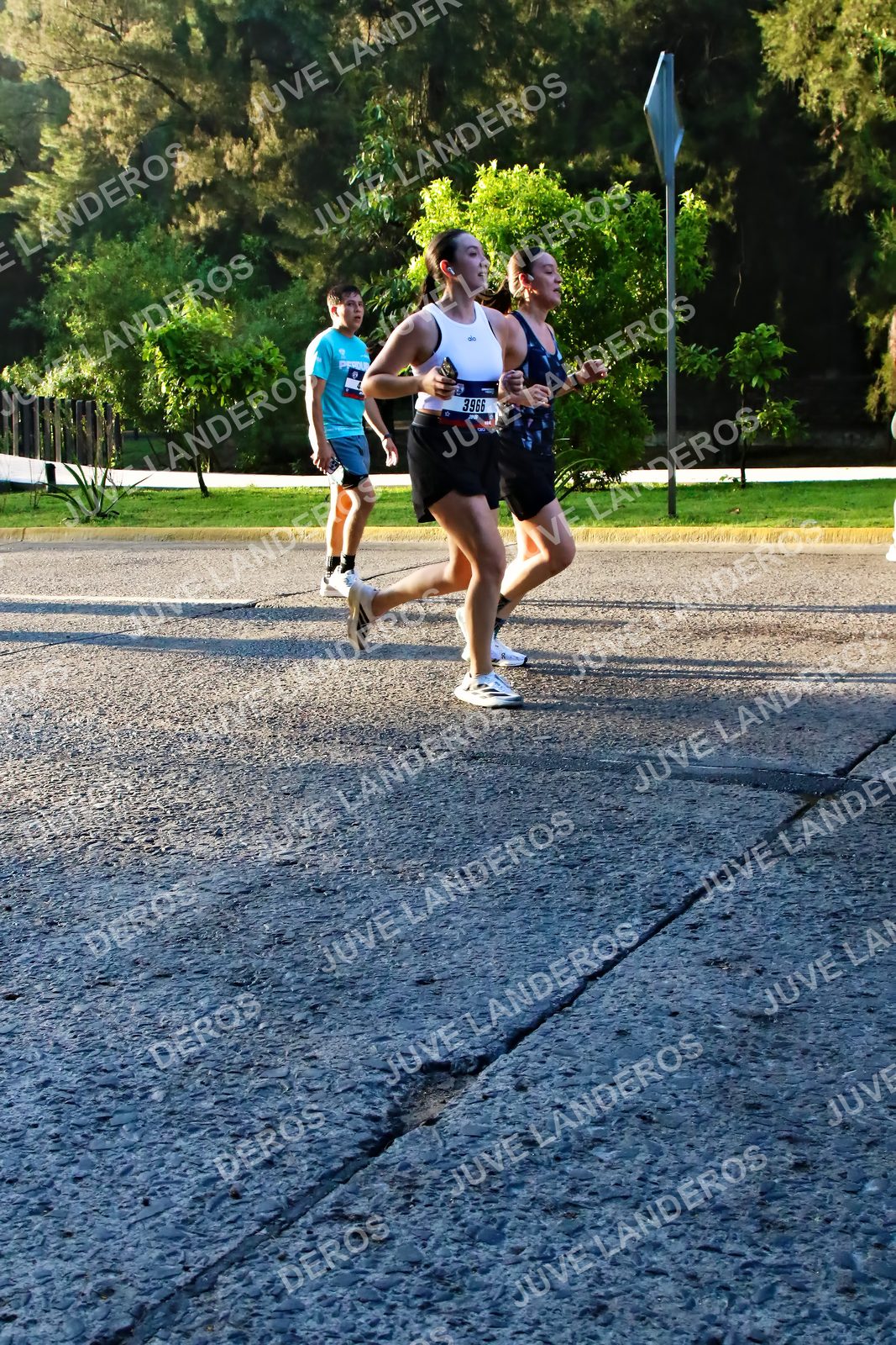 Foto de la CARRERA BIMBO GLOBAL RACE GUADALAJARA en Centro Comercial Andares, Blvd. Puerta de Hierro 4965, Zapopan a las 07:30 · dorsal 3966