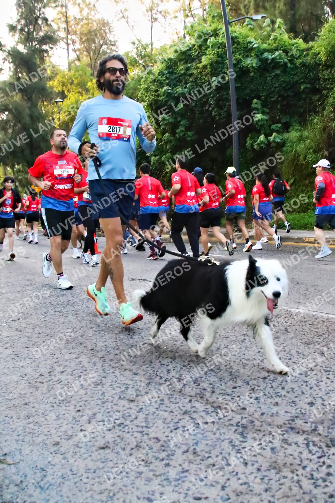 Foto de la CARRERA BIMBO GLOBAL RACE GUADALAJARA en Centro Comercial Andares, Blvd. Puerta de Hierro 4965, Zapopan a las 06:58 · dorsal 3196, 2817
