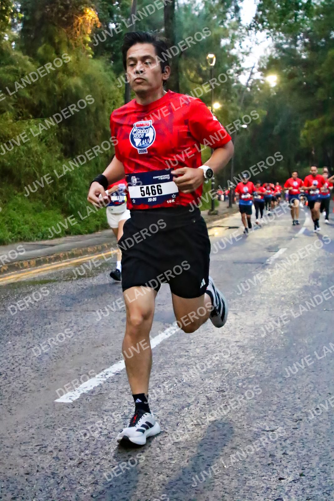 Foto de la CARRERA BIMBO GLOBAL RACE GUADALAJARA en Centro Comercial Andares, Blvd. Puerta de Hierro 4965, Zapopan a las 06:39 · dorsal 5466, 2020, 4972