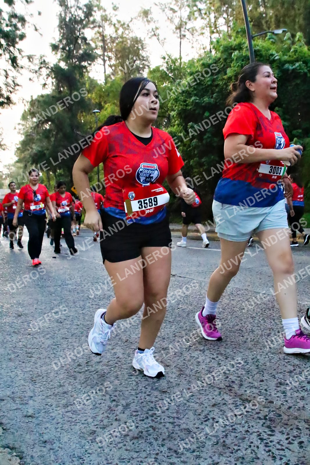 Foto de la CARRERA BIMBO GLOBAL RACE GUADALAJARA en Centro Comercial Andares, Blvd. Puerta de Hierro 4965, Zapopan a las 07:05 · dorsal 3589, 3003