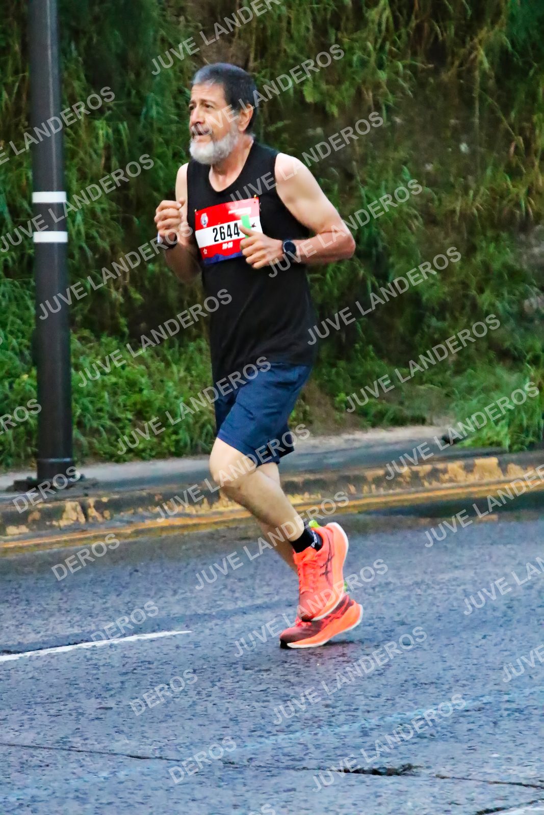 Foto de la CARRERA BIMBO GLOBAL RACE GUADALAJARA en Centro Comercial Andares, Blvd. Puerta de Hierro 4965, Zapopan a las 04:54 · dorsal 2644