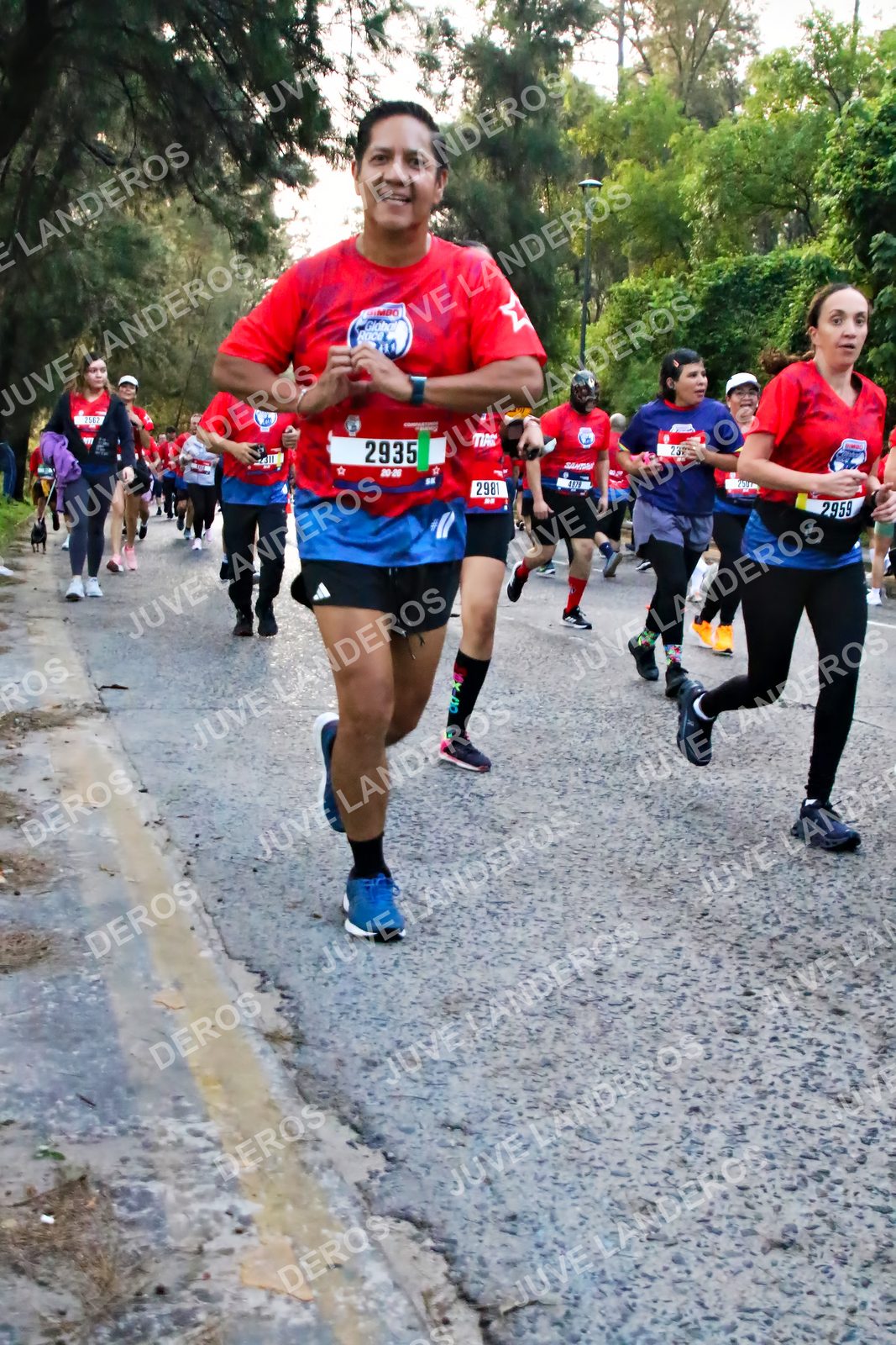 Foto de la CARRERA BIMBO GLOBAL RACE GUADALAJARA en Centro Comercial Andares, Blvd. Puerta de Hierro 4965, Zapopan a las 07:01 · dorsal 2935, 2959, 23, 298