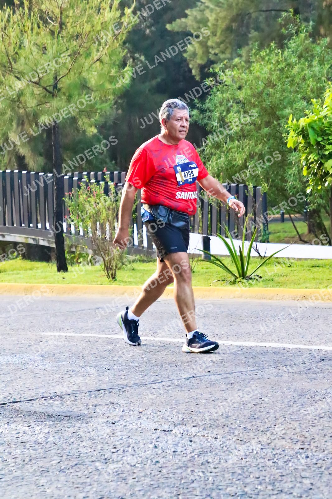 Foto de la CARRERA BIMBO GLOBAL RACE GUADALAJARA en Centro Comercial Andares, Blvd. Puerta de Hierro 4965, Zapopan a las 07:36 · dorsal 4799