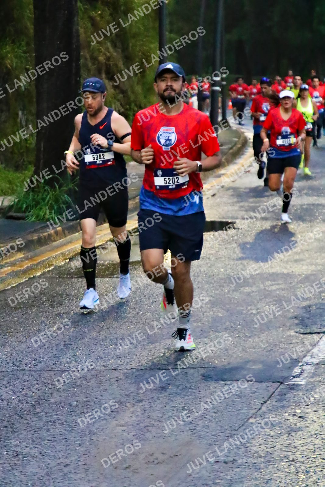 Foto de la CARRERA BIMBO GLOBAL RACE GUADALAJARA en Centro Comercial Andares, Blvd. Puerta de Hierro 4965, Zapopan a las 06:38 · dorsal 5202, 5342, 4685