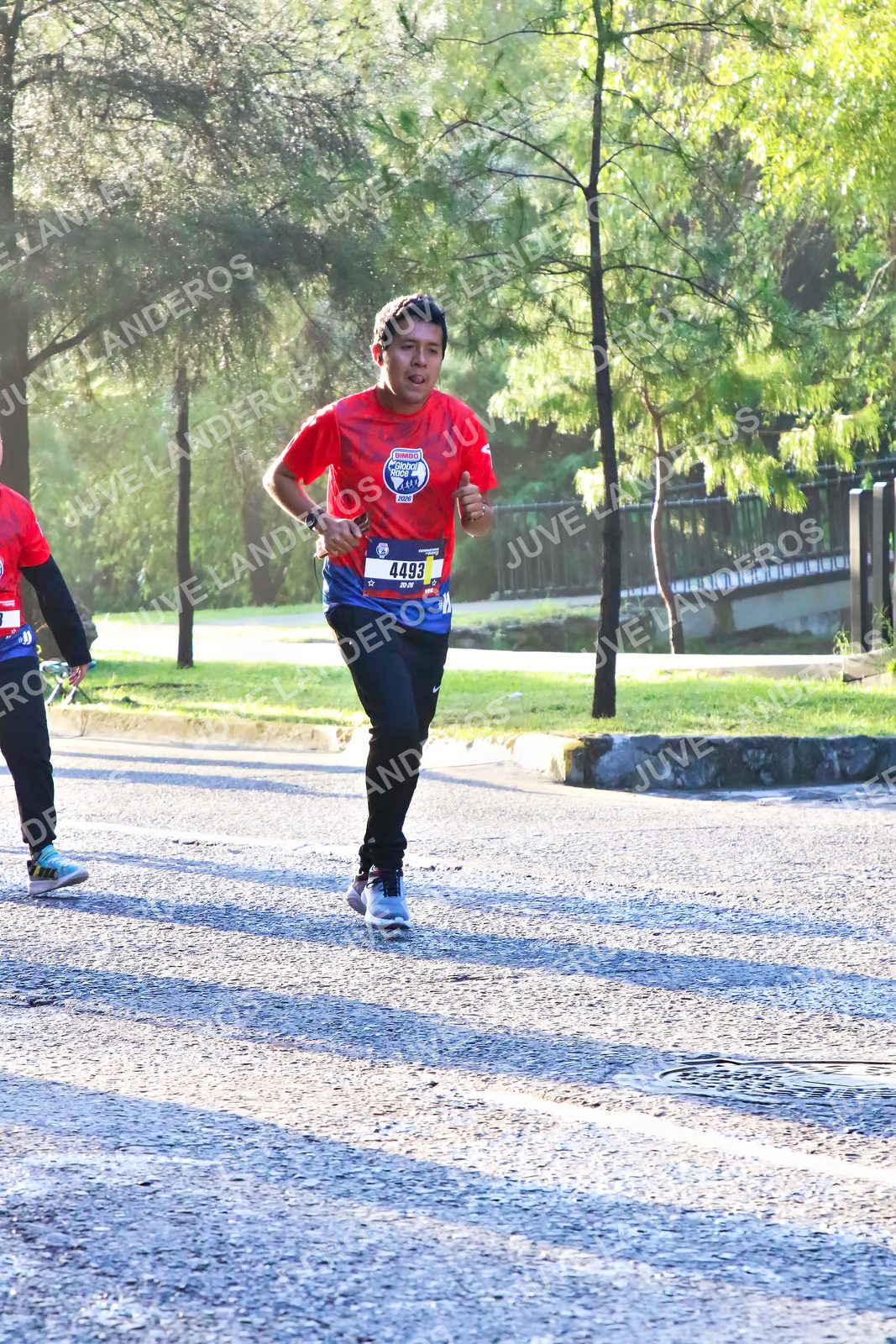 Foto de la CARRERA BIMBO GLOBAL RACE GUADALAJARA en Centro Comercial Andares, Blvd. Puerta de Hierro 4965, Zapopan a las 07:31 · dorsal 4493