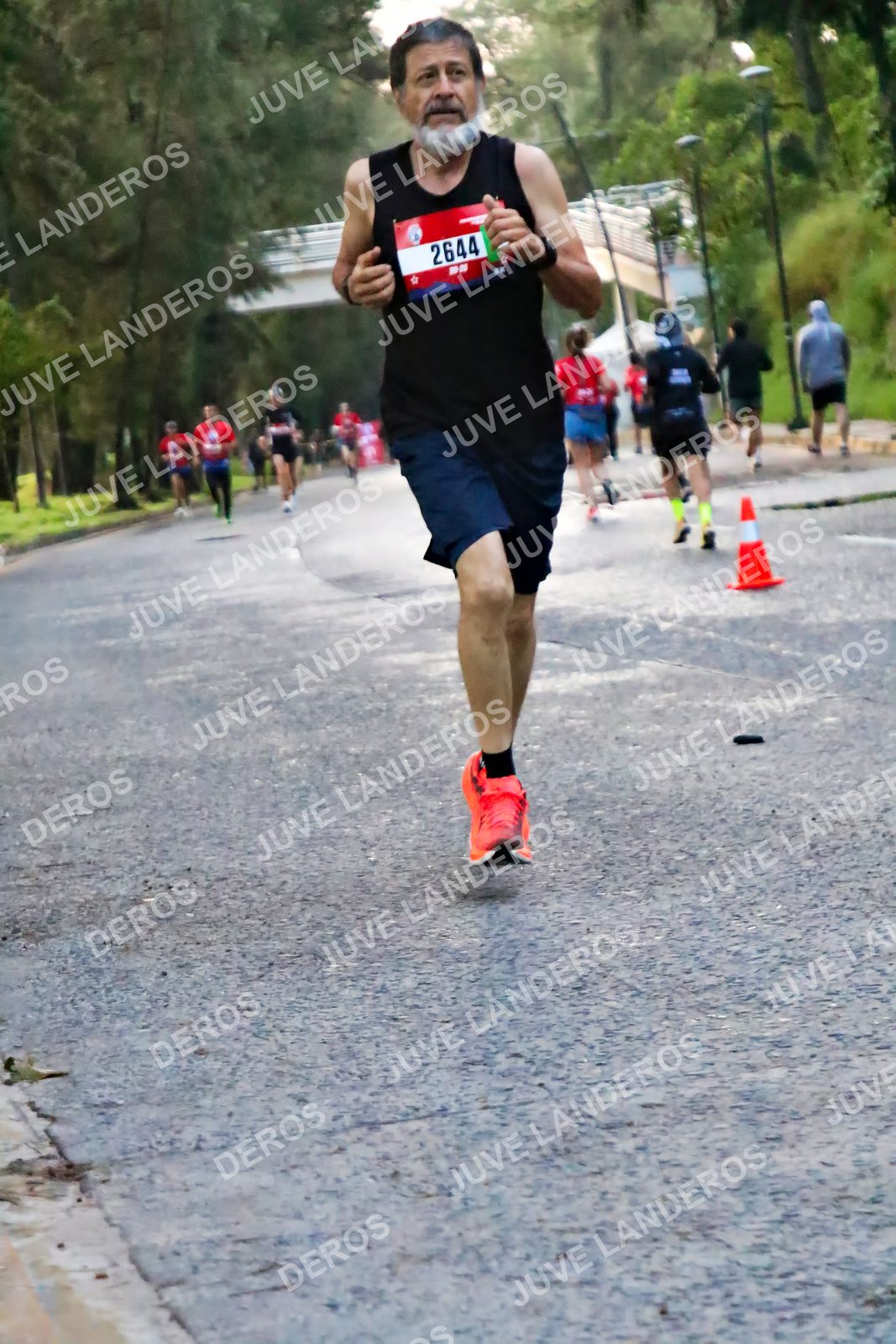 Foto de la CARRERA BIMBO GLOBAL RACE GUADALAJARA en Centro Comercial Andares, Blvd. Puerta de Hierro 4965, Zapopan a las 04:55 · dorsal 2644