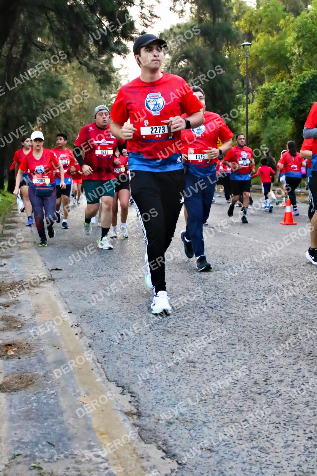 Foto de la CARRERA BIMBO GLOBAL RACE GUADALAJARA en Centro Comercial Andares, Blvd. Puerta de Hierro 4965, Zapopan a las 07:00 · dorsal 2303, 1375, 2273, 1693