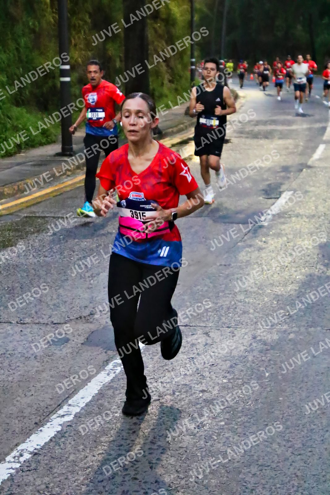 Foto de la CARRERA BIMBO GLOBAL RACE GUADALAJARA en Centro Comercial Andares, Blvd. Puerta de Hierro 4965, Zapopan a las 06:37 · dorsal 3915, 3836, 4101