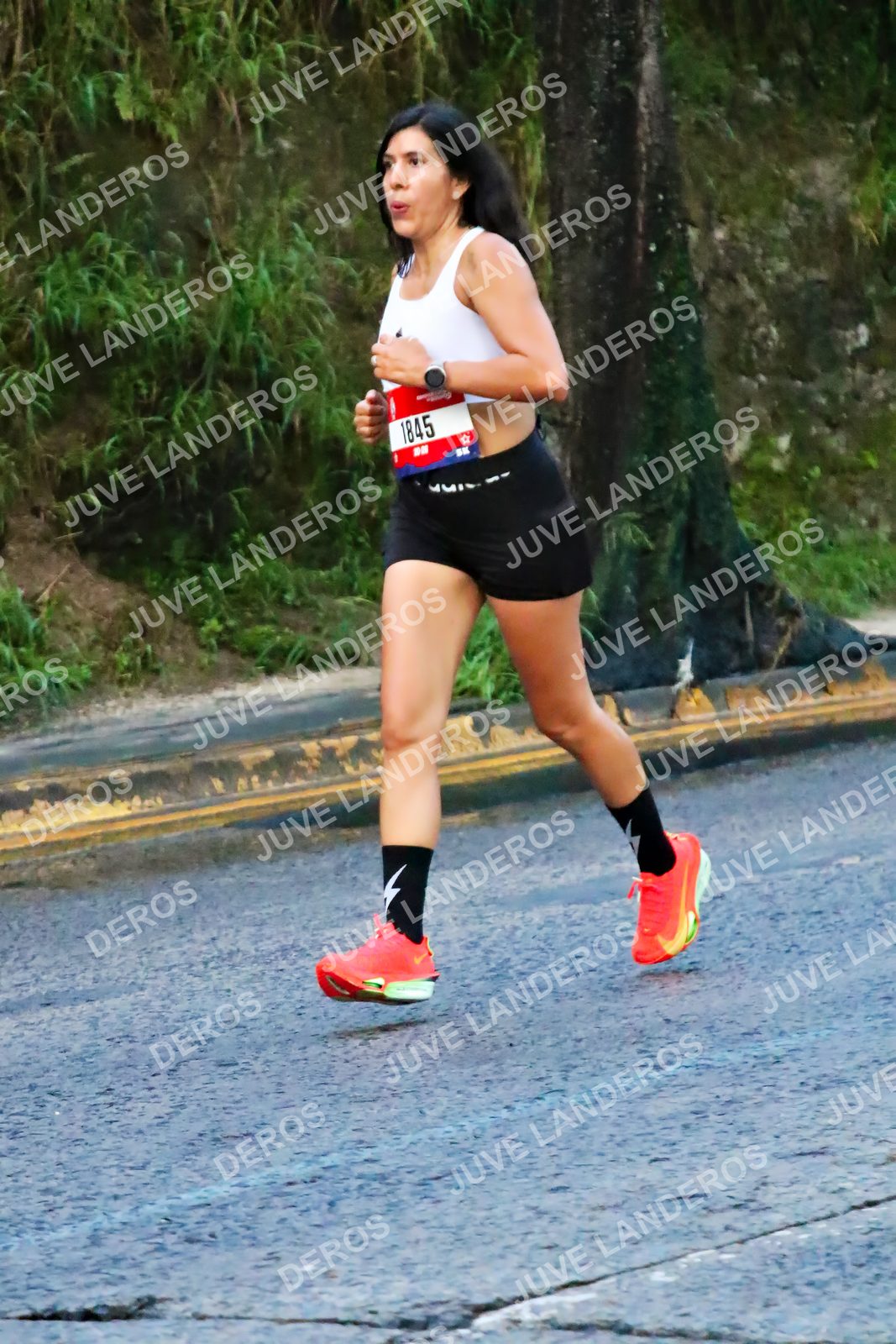 Foto de la CARRERA BIMBO GLOBAL RACE GUADALAJARA en Centro Comercial Andares, Blvd. Puerta de Hierro 4965, Zapopan a las 04:56 · dorsal 1845