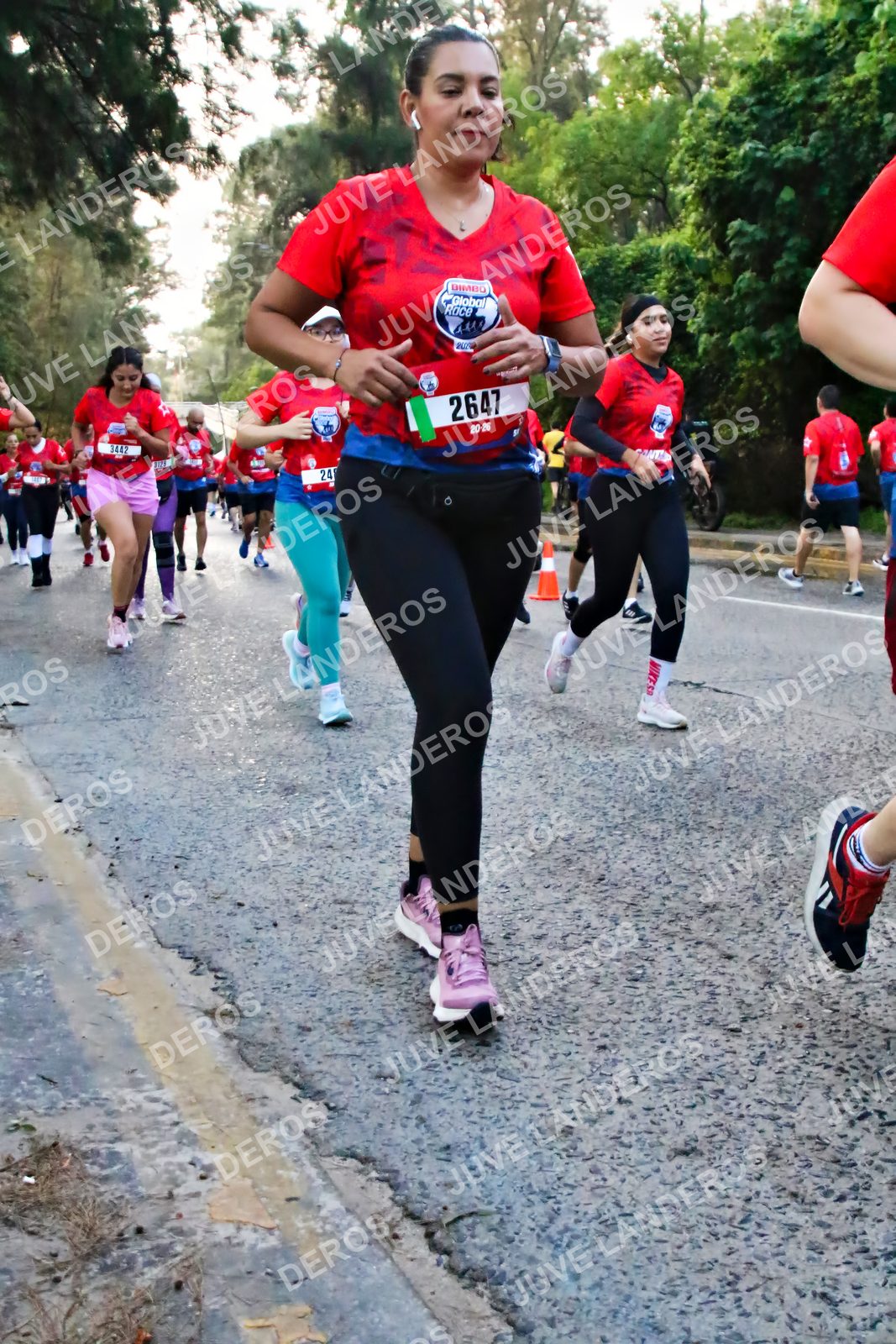 Foto de la CARRERA BIMBO GLOBAL RACE GUADALAJARA en Centro Comercial Andares, Blvd. Puerta de Hierro 4965, Zapopan a las 07:01 · dorsal 2647, 3442, 24