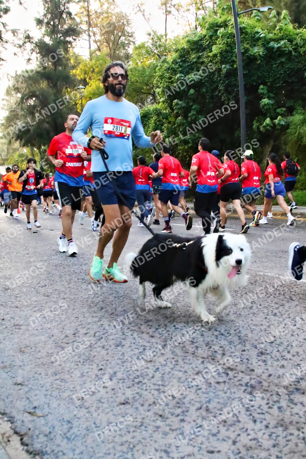 Foto de la CARRERA BIMBO GLOBAL RACE GUADALAJARA en Centro Comercial Andares, Blvd. Puerta de Hierro 4965, Zapopan a las 06:58 · dorsal 3196, 2817