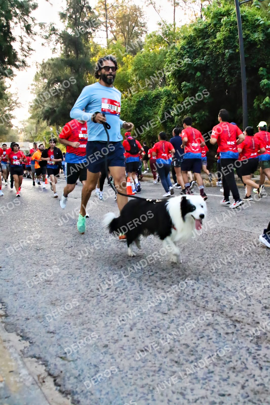 Foto de la CARRERA BIMBO GLOBAL RACE GUADALAJARA en Centro Comercial Andares, Blvd. Puerta de Hierro 4965, Zapopan a las 06:58 · dorsal 2817