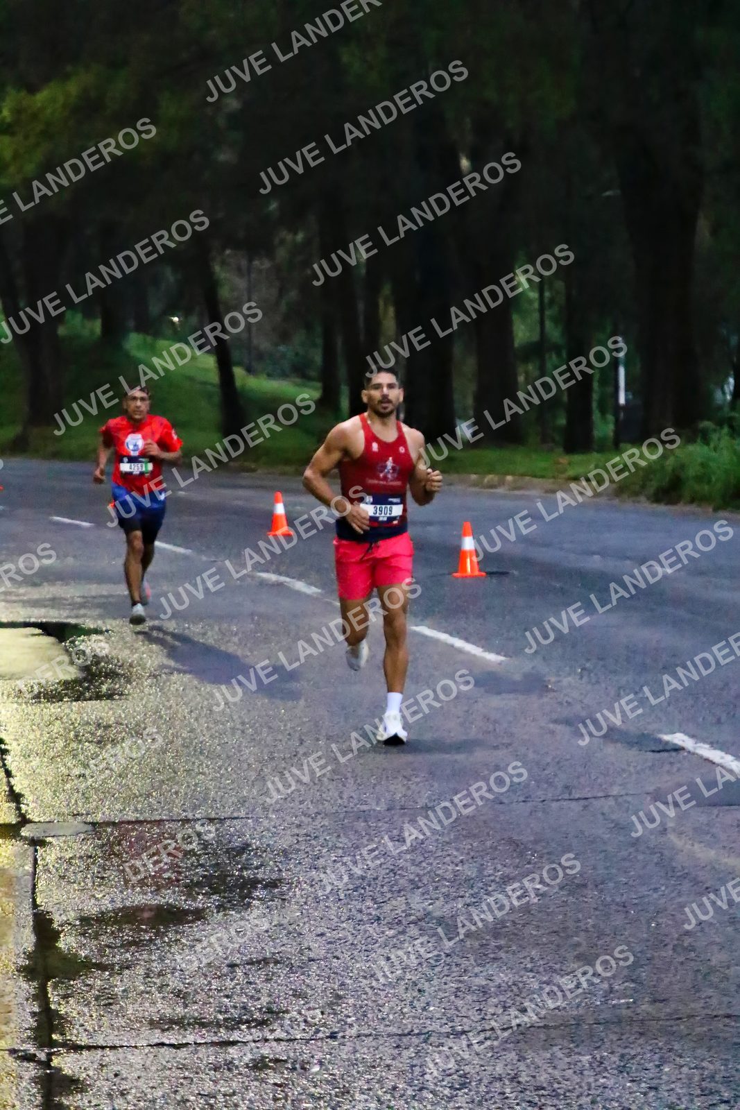 Foto de la CARRERA BIMBO GLOBAL RACE GUADALAJARA en Centro Comercial Andares, Blvd. Puerta de Hierro 4965, Zapopan a las 06:35 · dorsal 3909