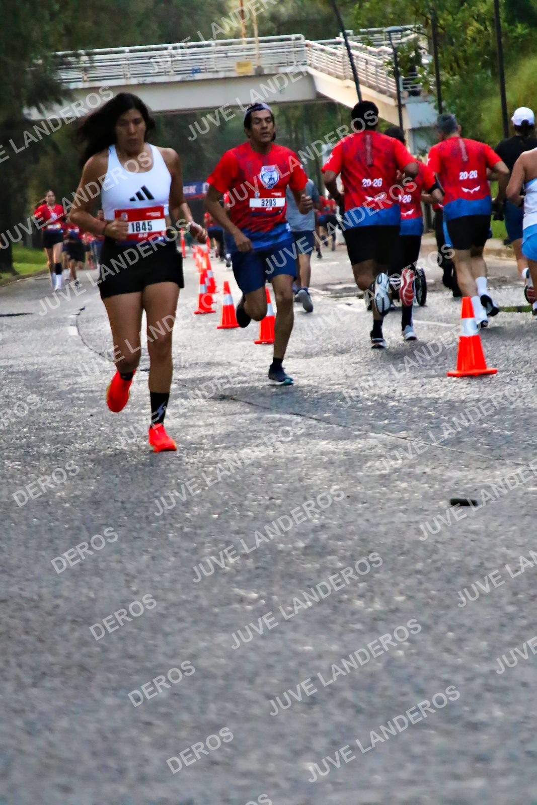 Foto de la CARRERA BIMBO GLOBAL RACE GUADALAJARA en Centro Comercial Andares, Blvd. Puerta de Hierro 4965, Zapopan a las 04:57 · dorsal 1845, 3203