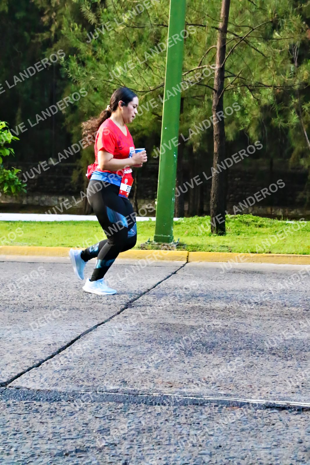 Foto de la CARRERA BIMBO GLOBAL RACE GUADALAJARA en Centro Comercial Andares, Blvd. Puerta de Hierro 4965, Zapopan a las 07:37 · dorsal 213