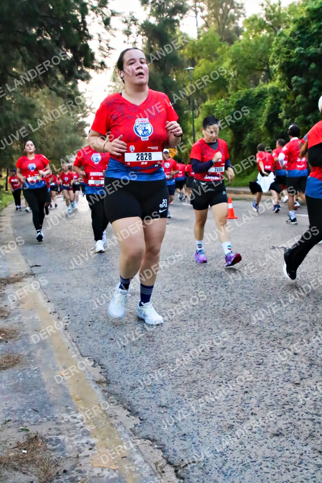Foto de la CARRERA BIMBO GLOBAL RACE GUADALAJARA en Centro Comercial Andares, Blvd. Puerta de Hierro 4965, Zapopan a las 07:01 · dorsal 2828, 3312, 2486, 2006