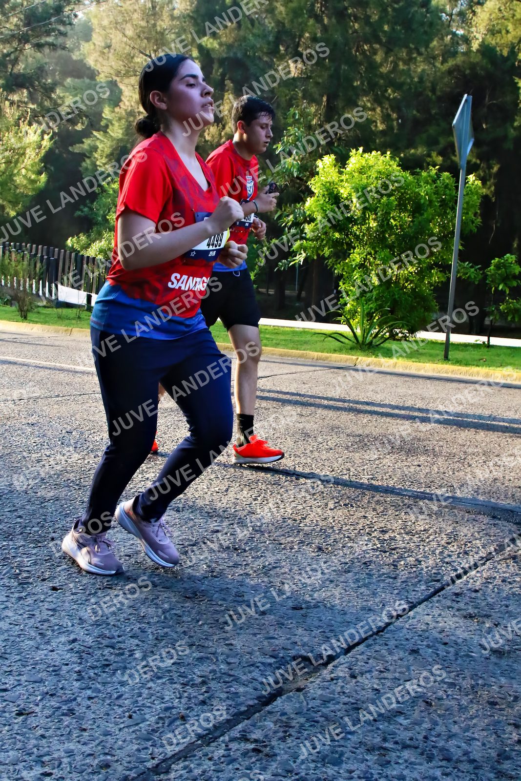 Foto de la CARRERA BIMBO GLOBAL RACE GUADALAJARA en Centro Comercial Andares, Blvd. Puerta de Hierro 4965, Zapopan a las 07:27 · dorsal 4499