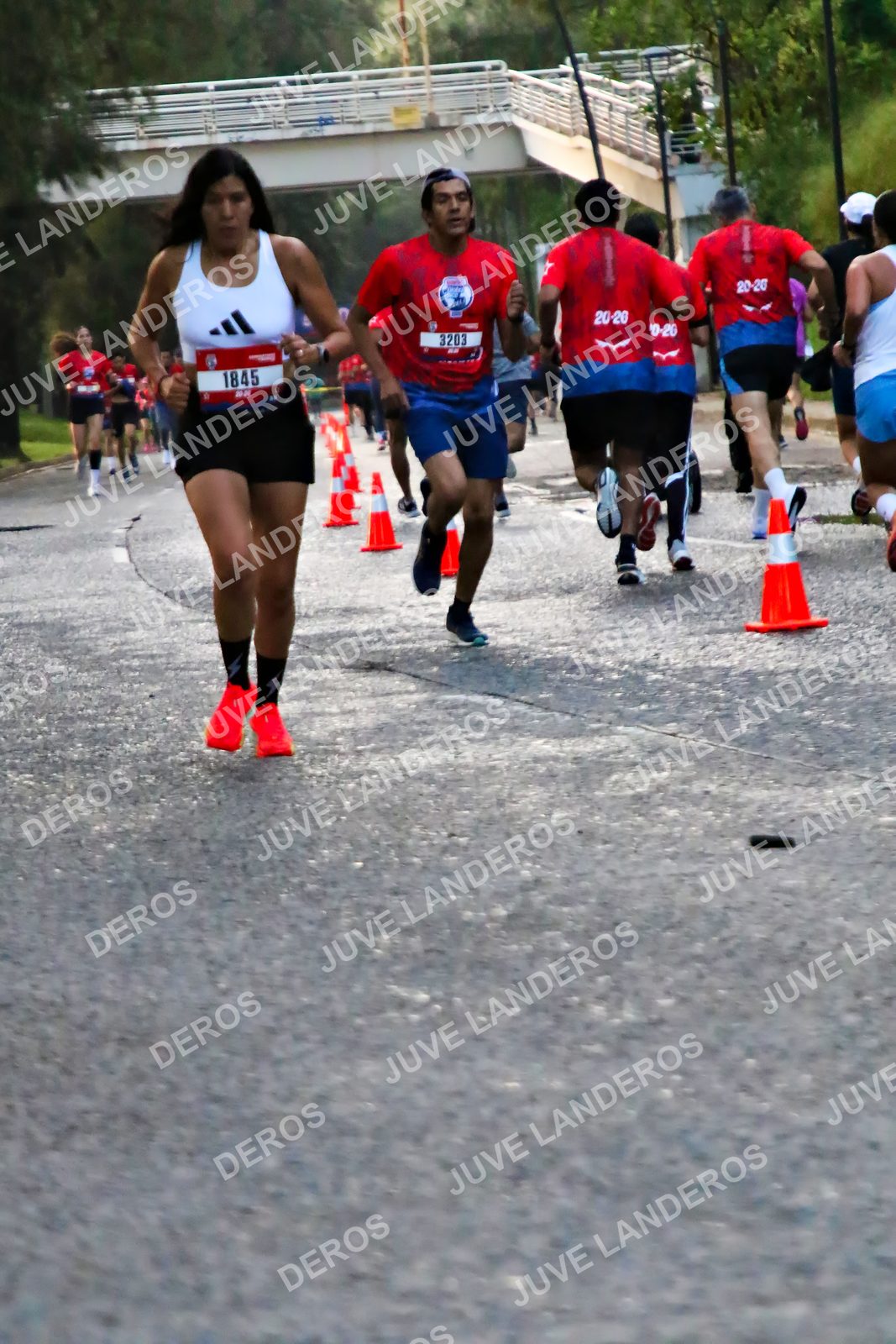 Foto de la CARRERA BIMBO GLOBAL RACE GUADALAJARA en Centro Comercial Andares, Blvd. Puerta de Hierro 4965, Zapopan a las 04:57 · dorsal 1845, 3203