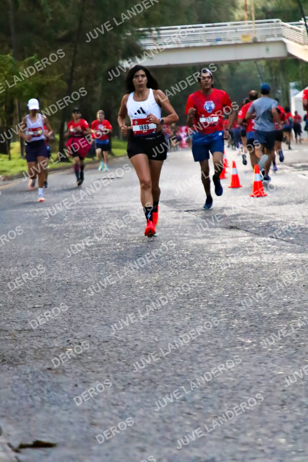 Foto de la CARRERA BIMBO GLOBAL RACE GUADALAJARA en Centro Comercial Andares, Blvd. Puerta de Hierro 4965, Zapopan a las 04:57 · dorsal 1845, 3203