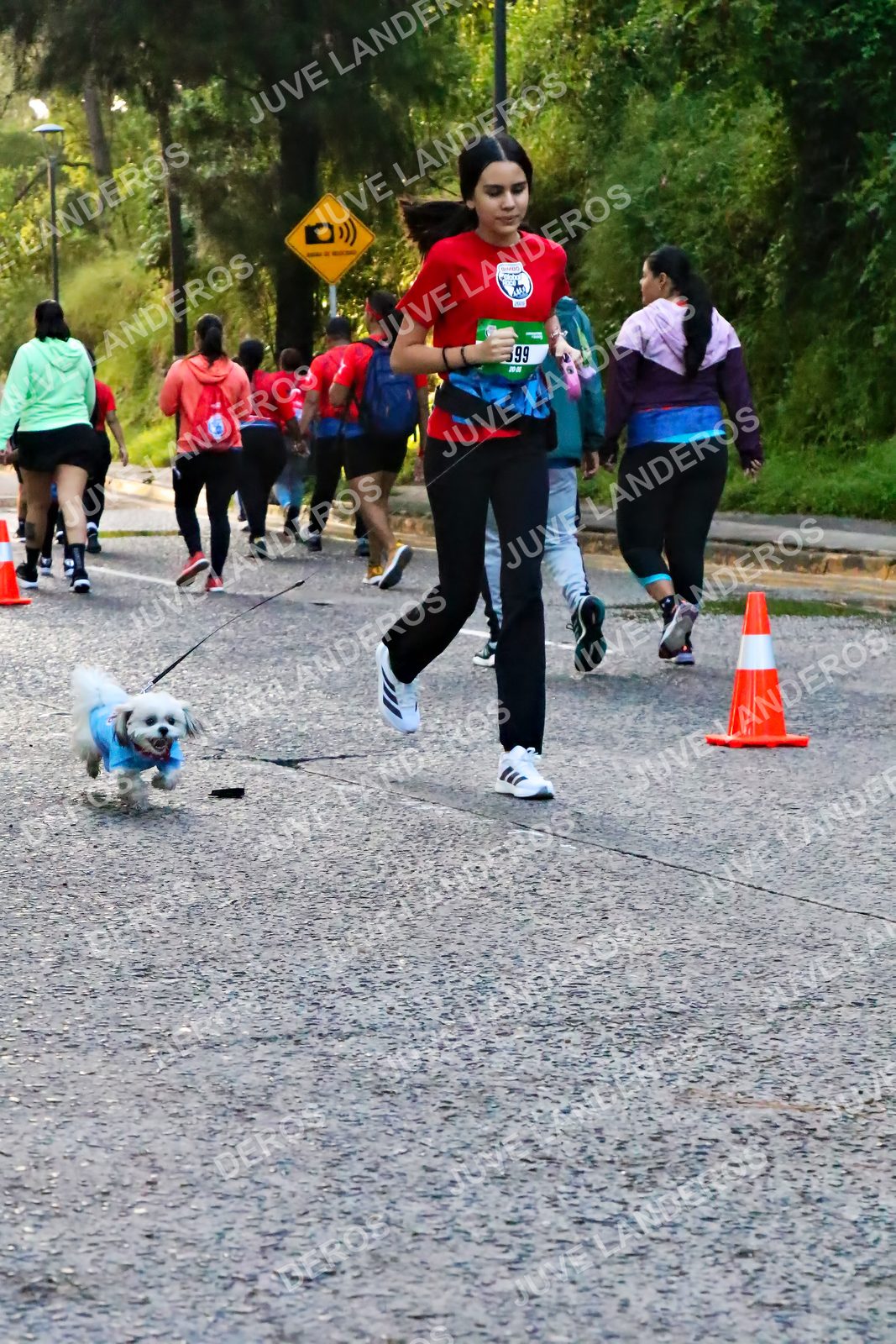 Foto de la CARRERA BIMBO GLOBAL RACE GUADALAJARA en Centro Comercial Andares, Blvd. Puerta de Hierro 4965, Zapopan a las 07:11 · dorsal 99