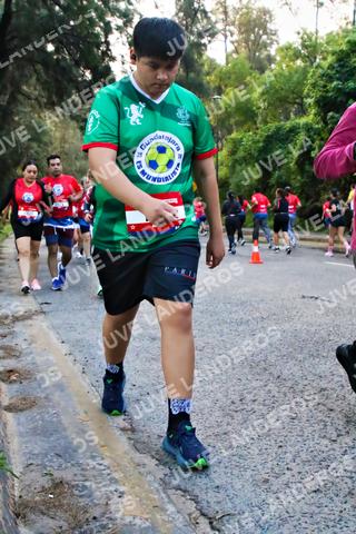 Foto de la CARRERA BIMBO GLOBAL RACE GUADALAJARA a las 07:00
