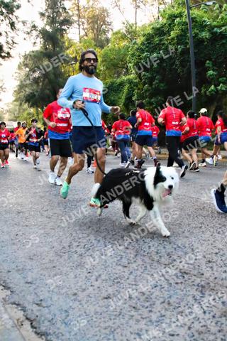 Foto de la CARRERA BIMBO GLOBAL RACE GUADALAJARA a las 06:58