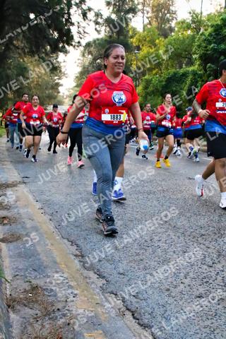Foto de la CARRERA BIMBO GLOBAL RACE GUADALAJARA a las 06:59