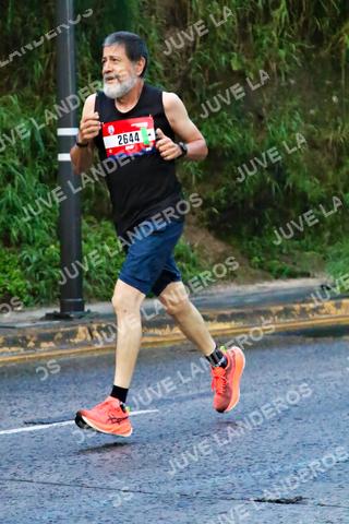 Foto de la CARRERA BIMBO GLOBAL RACE GUADALAJARA a las 04:54