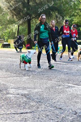 Foto de la CARRERA BIMBO GLOBAL RACE GUADALAJARA a las 07:35