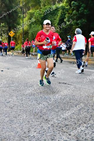 Foto de la CARRERA BIMBO GLOBAL RACE GUADALAJARA a las 07:03