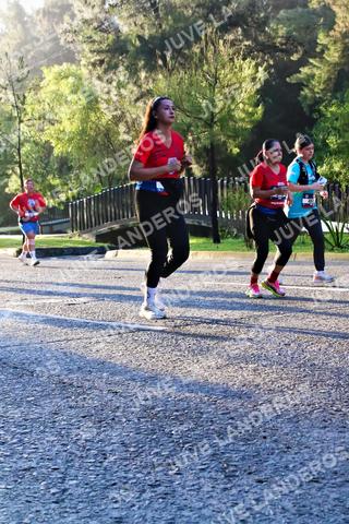 Foto de la CARRERA BIMBO GLOBAL RACE GUADALAJARA a las 07:31