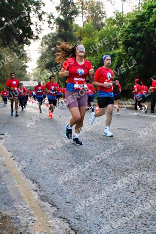 Foto de la CARRERA BIMBO GLOBAL RACE GUADALAJARA a las 05:00