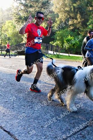 Foto de la CARRERA BIMBO GLOBAL RACE GUADALAJARA a las 07:29