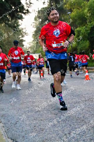 Foto de la CARRERA BIMBO GLOBAL RACE GUADALAJARA a las 05:00
