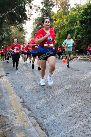 Foto de la CARRERA BIMBO GLOBAL RACE GUADALAJARA a las 06:57