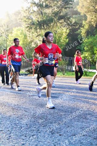 Foto de la CARRERA BIMBO GLOBAL RACE GUADALAJARA a las 07:25