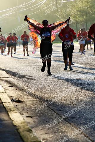 Foto de la CARRERA BIMBO GLOBAL RACE GUADALAJARA a las 07:26