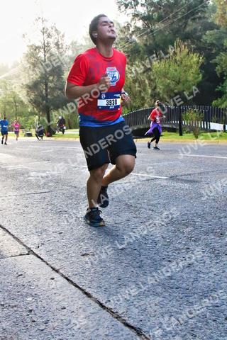 Foto de la CARRERA BIMBO GLOBAL RACE GUADALAJARA a las 07:34