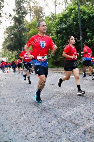Foto de la CARRERA BIMBO GLOBAL RACE GUADALAJARA a las 04:59