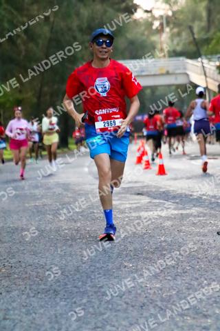 Foto de la CARRERA BIMBO GLOBAL RACE GUADALAJARA a las 04:56