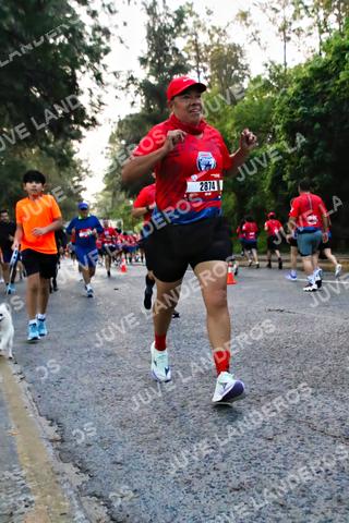 Foto de la CARRERA BIMBO GLOBAL RACE GUADALAJARA a las 05:00
