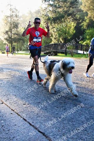 Foto de la CARRERA BIMBO GLOBAL RACE GUADALAJARA a las 07:29