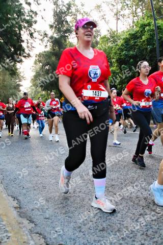 Foto de la CARRERA BIMBO GLOBAL RACE GUADALAJARA a las 07:02