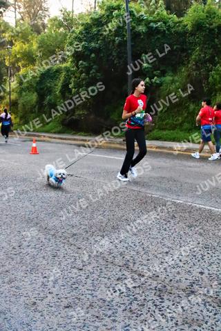 Foto de la CARRERA BIMBO GLOBAL RACE GUADALAJARA a las 07:11
