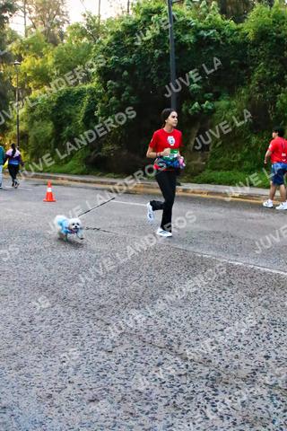 Foto de la CARRERA BIMBO GLOBAL RACE GUADALAJARA a las 07:11