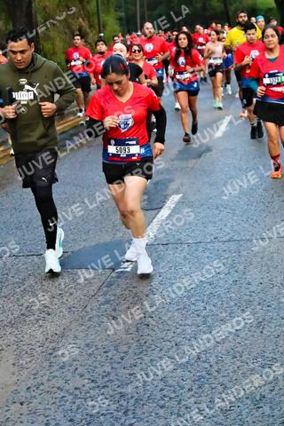 Foto de la CARRERA BIMBO GLOBAL RACE GUADALAJARA a las 04:51