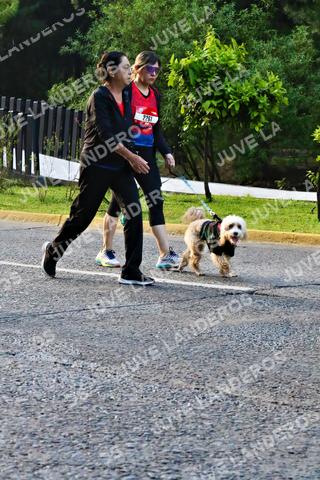 Foto de la CARRERA BIMBO GLOBAL RACE GUADALAJARA a las 07:35