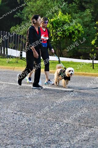 Foto de la CARRERA BIMBO GLOBAL RACE GUADALAJARA a las 07:35
